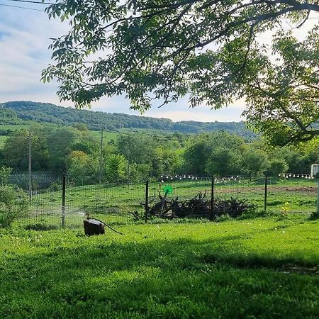 Вила "Намасте" С Панорамна Гледка И Камина На Дърва Lovetch Extérieur photo